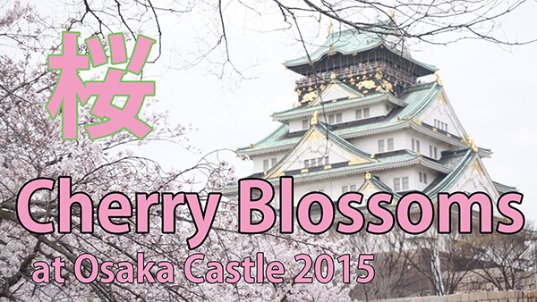 Enjoy Cherry Blossoms at Osaka is one of holiday packages from Singapore